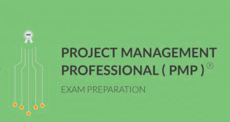 Project Management professional (PMP)