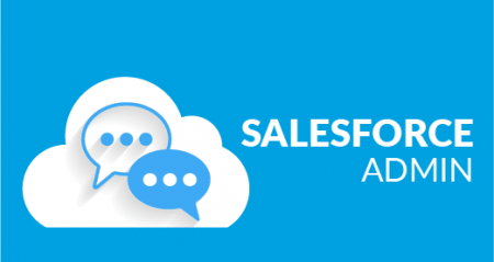 Salesforce Admin 201 Certification Training